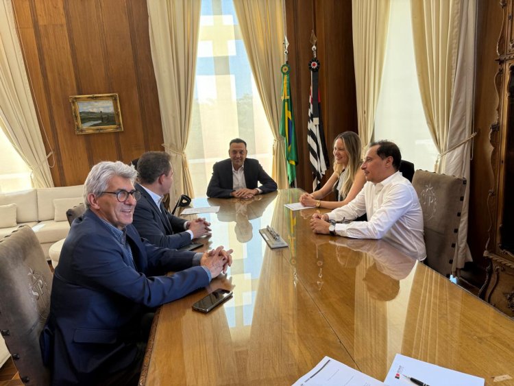 FEAPAES-SP apresenta proposta de parceria ao Governo do Estado para ampliar atendimentos às pessoas com TEA