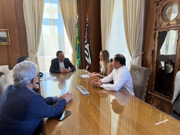 FEAPAES-SP apresenta proposta de parceria ao Governo do Estado para ampliar atendimentos às pessoas com TEA