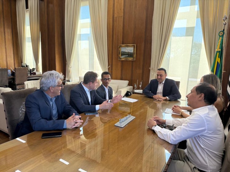 FEAPAES-SP apresenta proposta de parceria ao Governo do Estado para ampliar atendimentos às pessoas com TEA