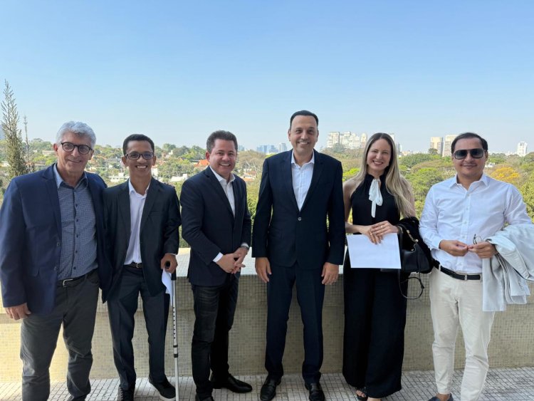 FEAPAES-SP apresenta proposta de parceria ao Governo do Estado para ampliar atendimentos às pessoas com TEA