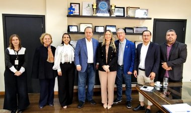 Federação das APAEs do Estado de São Paulo e APAE Brasil se reúnem com o secretário Eleuses Paiva para fortalecer ações de saúde voltadas ao TEA