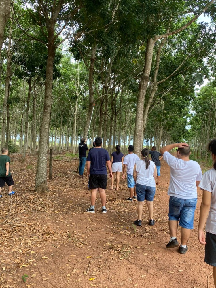 APAE de Rancharia inaugura a 1ª Sala Sloyd do Brasil e consolida referência nacional em inclusão e inovação educacional