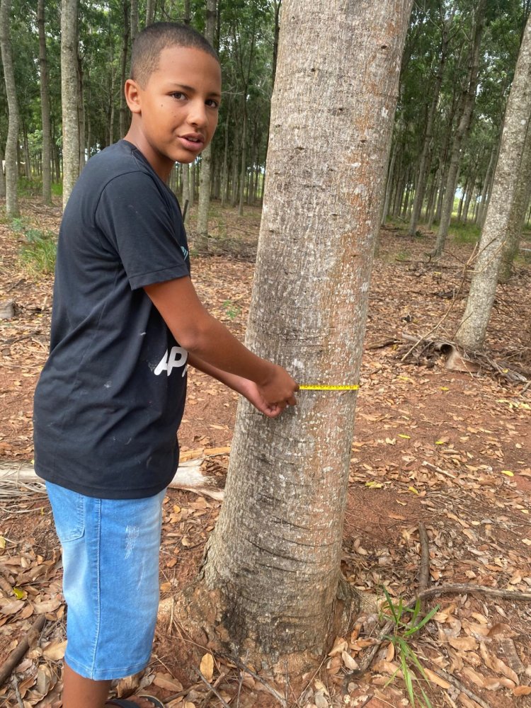 APAE de Rancharia inaugura a 1ª Sala Sloyd do Brasil e consolida referência nacional em inclusão e inovação educacional