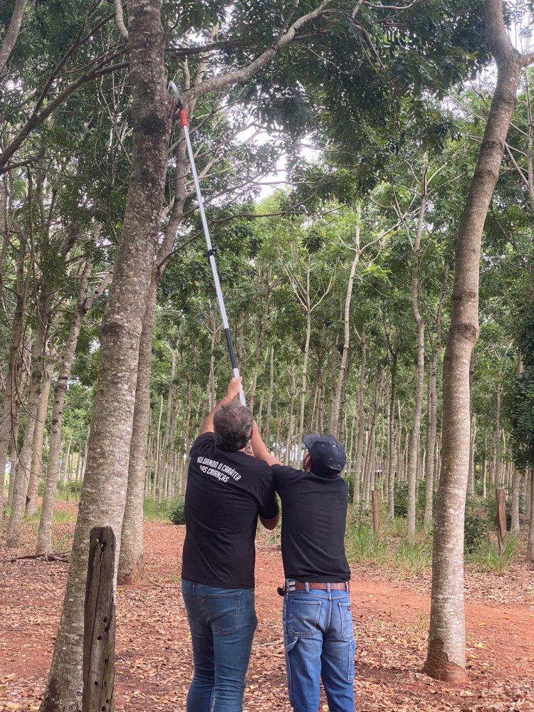 APAE de Rancharia inaugura a 1ª Sala Sloyd do Brasil e consolida referência nacional em inclusão e inovação educacional