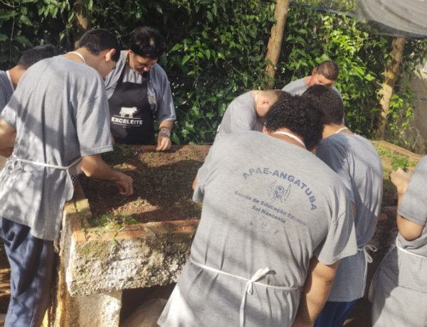 APAE de Angatuba - Cuidando da terra