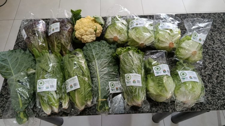 Parceria para uma alimentação saudável para os atendidos da APAE de Tupi Paulista