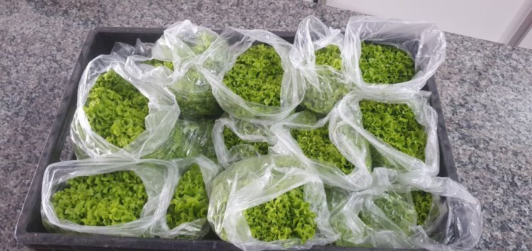 Parceria para uma alimentação saudável para os atendidos da APAE de Tupi Paulista