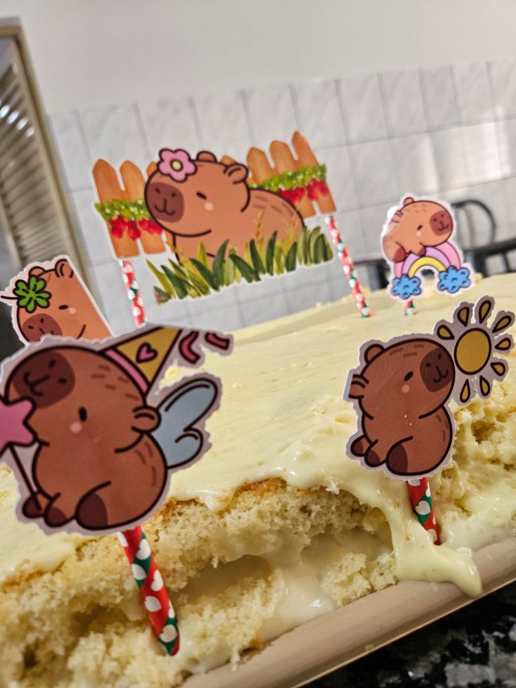 APAE de Tupi Paulista - Celebrando a vida e os momentos especiais!