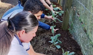 Projeto com tema “Da Terra ao Prato” estimula autonomia e consciência ambiental de atendidos com TEA da APAE de Mogi