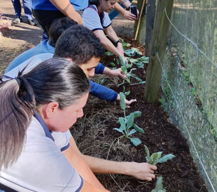 Projeto com tema “Da Terra ao Prato” estimula autonomia e consciência ambiental de atendidos com TEA da APAE de Mogi