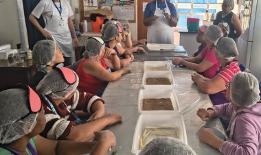 Oficina “Mãos que Afetam” transforma preparo do pão em experiência de acolhimento e convivência na APAE de Mogi