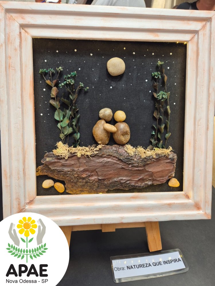 APAE de Nova Odessa conquista 1º lugar no Festival Regional Nossa Arte