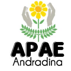 Apae de Andradina