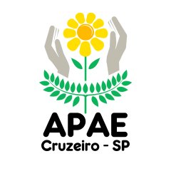 Apae de Cruzeiro